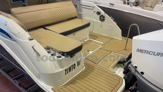 Sea Ray SDX 250 OB de segunda mano en venta