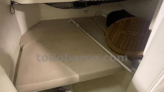 Sea Ray SDX 250 OB de segunda mano en venta