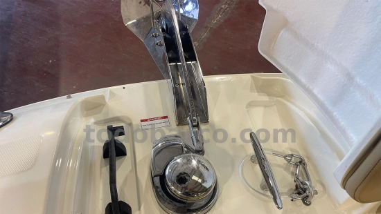 Sea Ray SDX 250 OB de segunda mano en venta