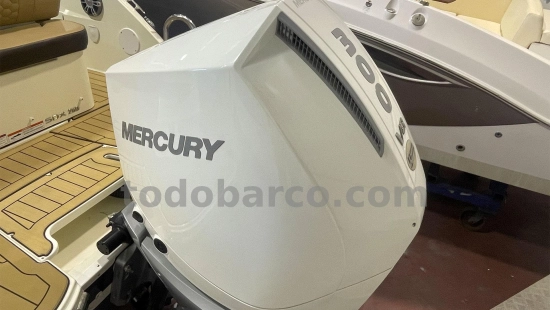 Sea Ray SDX 250 OB de segunda mano en venta