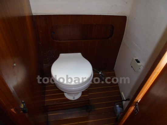 Copino 44 usado à venda