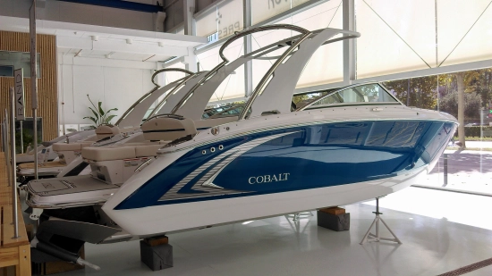 Cobalt R5 SURF nuova in vendita