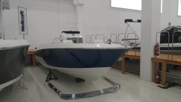 Wellcraft 222 FISHERMAN nuevo en venta
