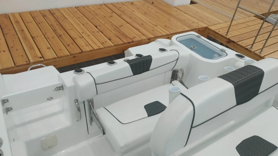 Wellcraft 222 FISHERMAN nuevo en venta