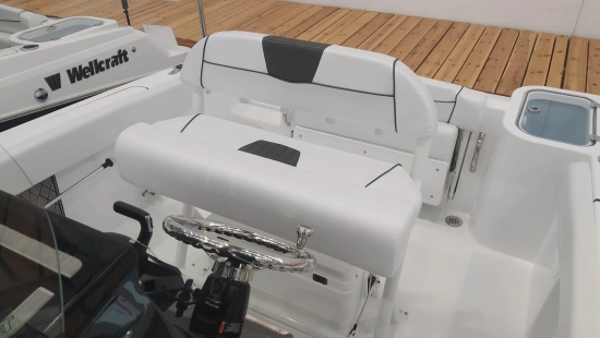 Wellcraft 222 FISHERMAN nuevo en venta
