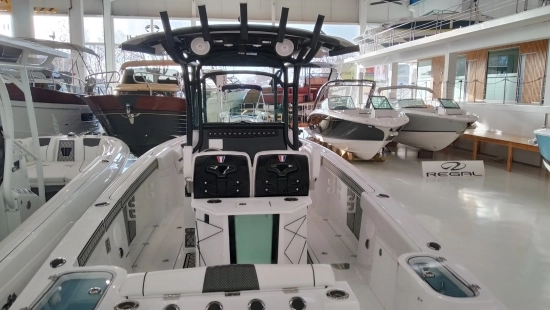 Wellcraft 262 FISHERMAN nuevo en venta