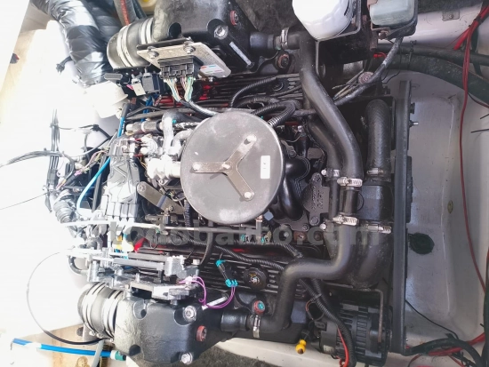 Glastron 245 GT de segunda mano en venta