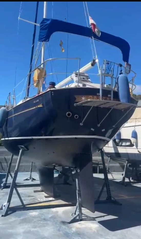 Belliure 41 usata in vendita