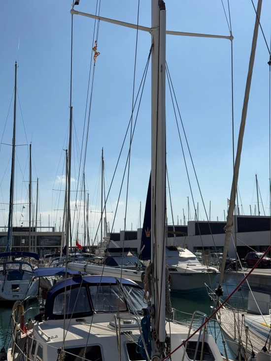 Belliure 41 usata in vendita