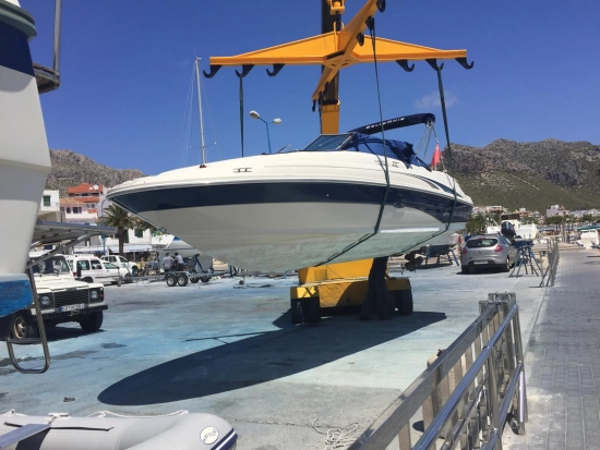 Sea Ray Sundeck 220 de segunda mano en venta