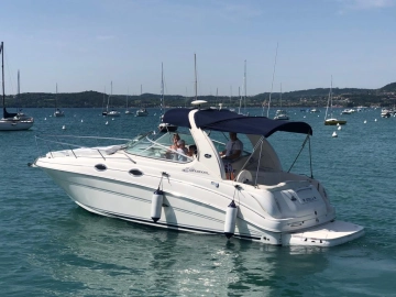 Sea Ray Sundancer 315 usata in vendita