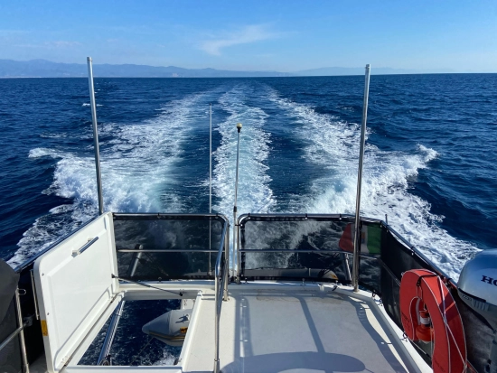 Beneteau Swift Trawler 30 (2017) usata in vendita