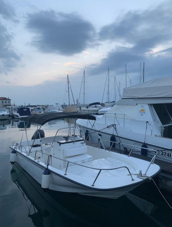 Boston Whaler MONTAUK 210 nuova in vendita