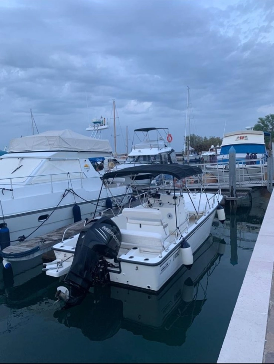 Boston Whaler MONTAUK 210 nuova in vendita
