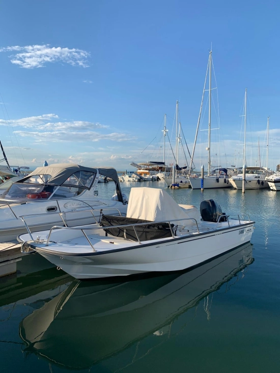 Boston Whaler MONTAUK 210 nuova in vendita