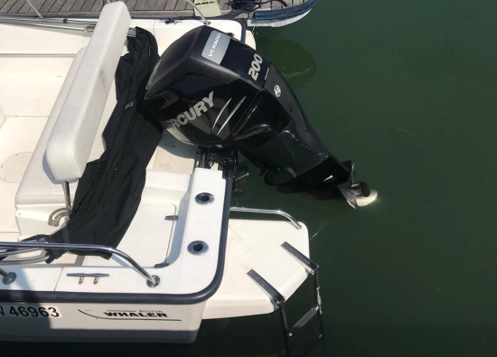 Boston Whaler MONTAUK 210 nuova in vendita