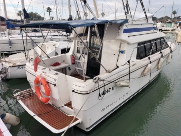 Bayliner 2858 Brige Fly de segunda mano en venta