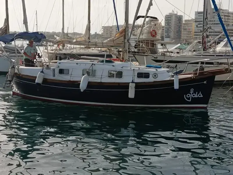 Myabca Delfin 31 de segunda mano en venta