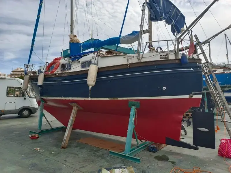 Myabca Delfin 31 usata in vendita