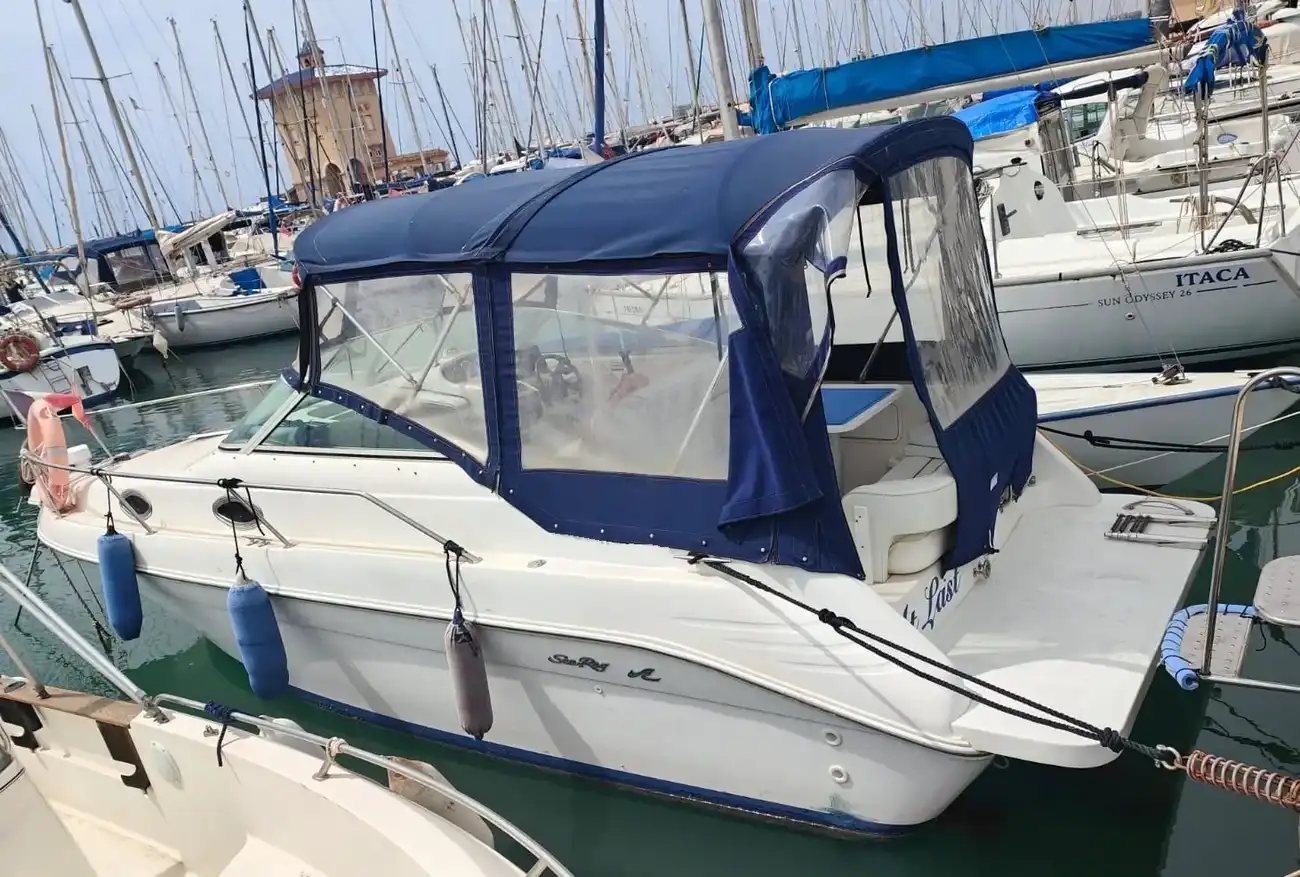 Sea Ray Sundancer 250 usata in vendita