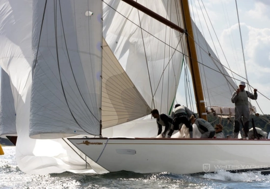 William Fife 12MR Class usata in vendita