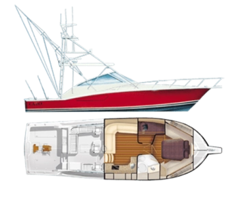 Cabo Yachts 45 Express usado à venda