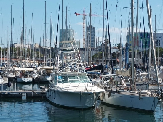 Cabo Yachts 45 Express usado à venda