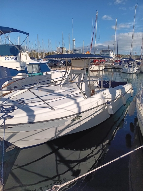 Quer 32 Fish Cuddy de segunda mano en venta