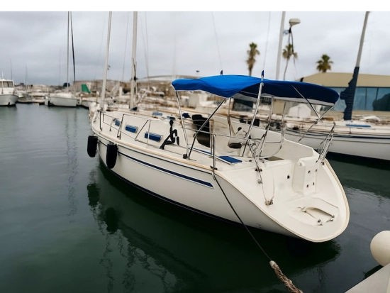 Bavaria Yachts 37 usado à venda