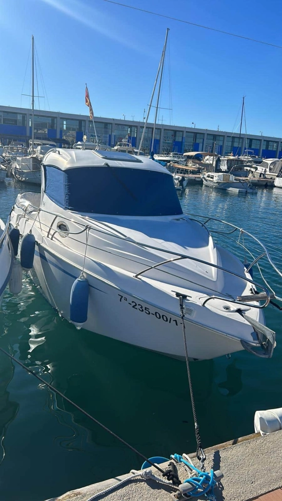 Lema CLON S de segunda mano en venta