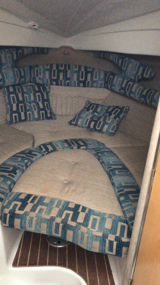 Lema CLON S de segunda mano en venta
