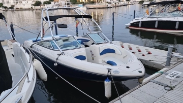 Sea Ray 205 SPORT usata in vendita