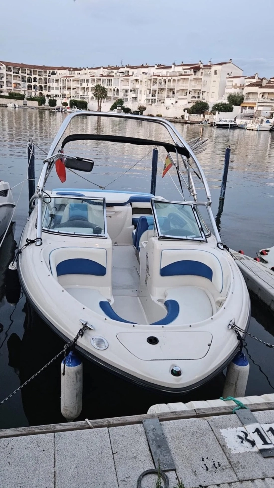 Sea Ray 205 SPORT usata in vendita