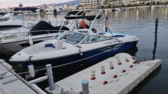 Sea Ray 205 SPORT usata in vendita