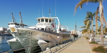 Commercial Trimaran nuevo en venta