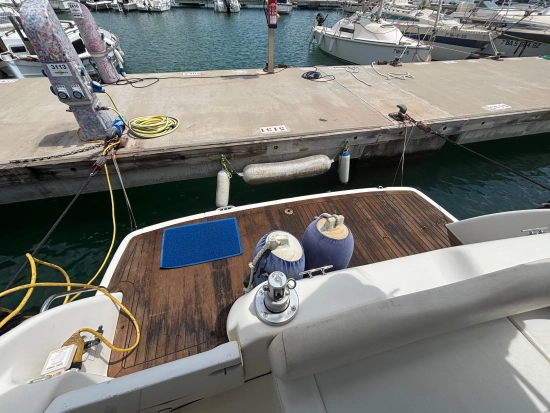 Cranchi Zaffiro 34 nuevo en venta