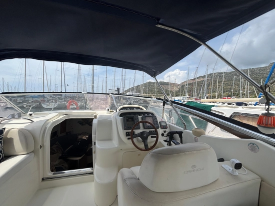 Cranchi Zaffiro 34 nuevo en venta