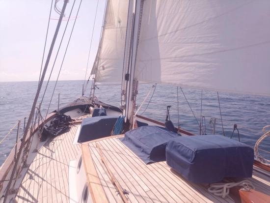 Shpountz 41 usata in vendita