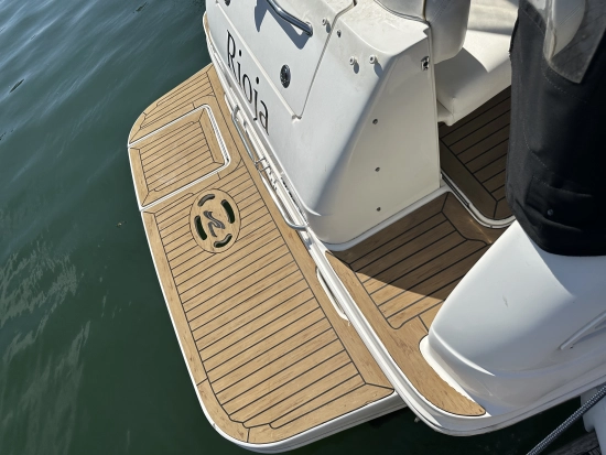 Sea Ray Sundancer 260 usado à venda