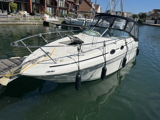 Sea Ray Sundancer 260 usado à venda