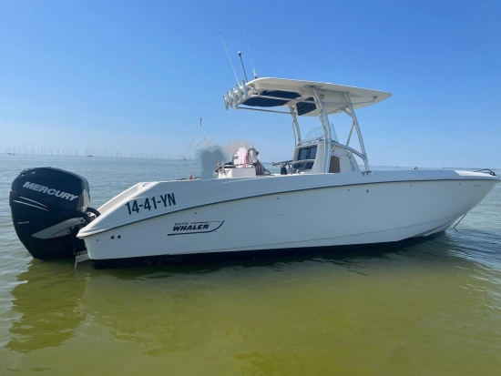 Boston Whaler 270 Outrage de segunda mano en venta