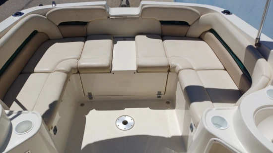 Stingray 240 LR usado à venda