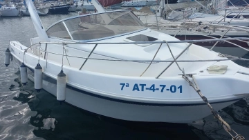 Faeton SPORT 630 usata in vendita