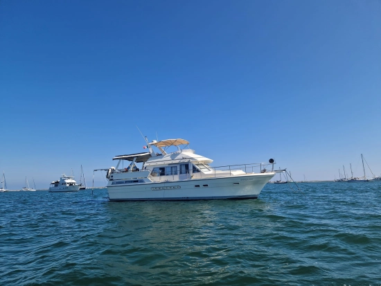 Trader 47 Flybridge usata in vendita