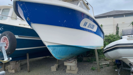Guy Marine ANTIOCHE 650 de segunda mano en venta