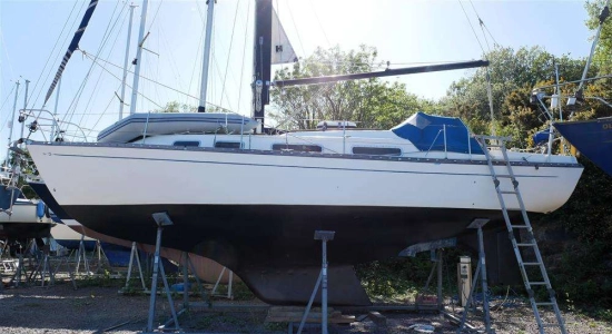 GRAMPIAN 2 34 usata in vendita