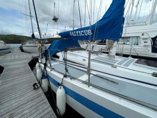 Dutch Built Steel Domp Kruiser 1030 usata in vendita