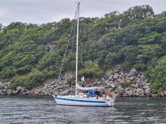 Dutch Built Steel Domp Kruiser 1030 usata in vendita