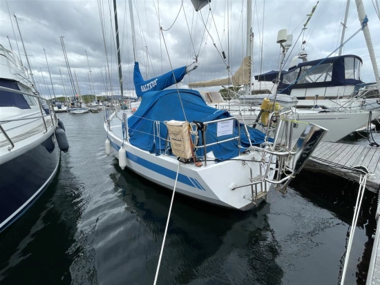 Dutch Built Steel Domp Kruiser 1030 usata in vendita