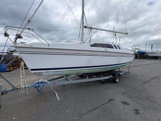 Hunter Legend 240 de segunda mano en venta